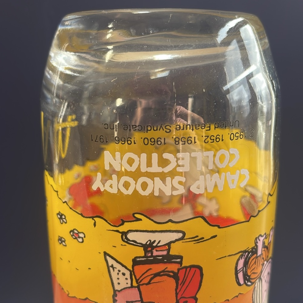 McDonald’s Camp Snoopy Collection “Civilization is Overrated” Collectible Glass - Picture 7 of 12